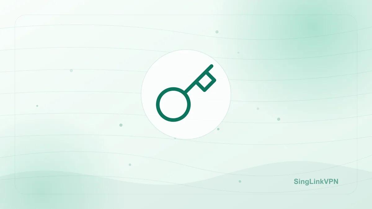 VPN Security Guide