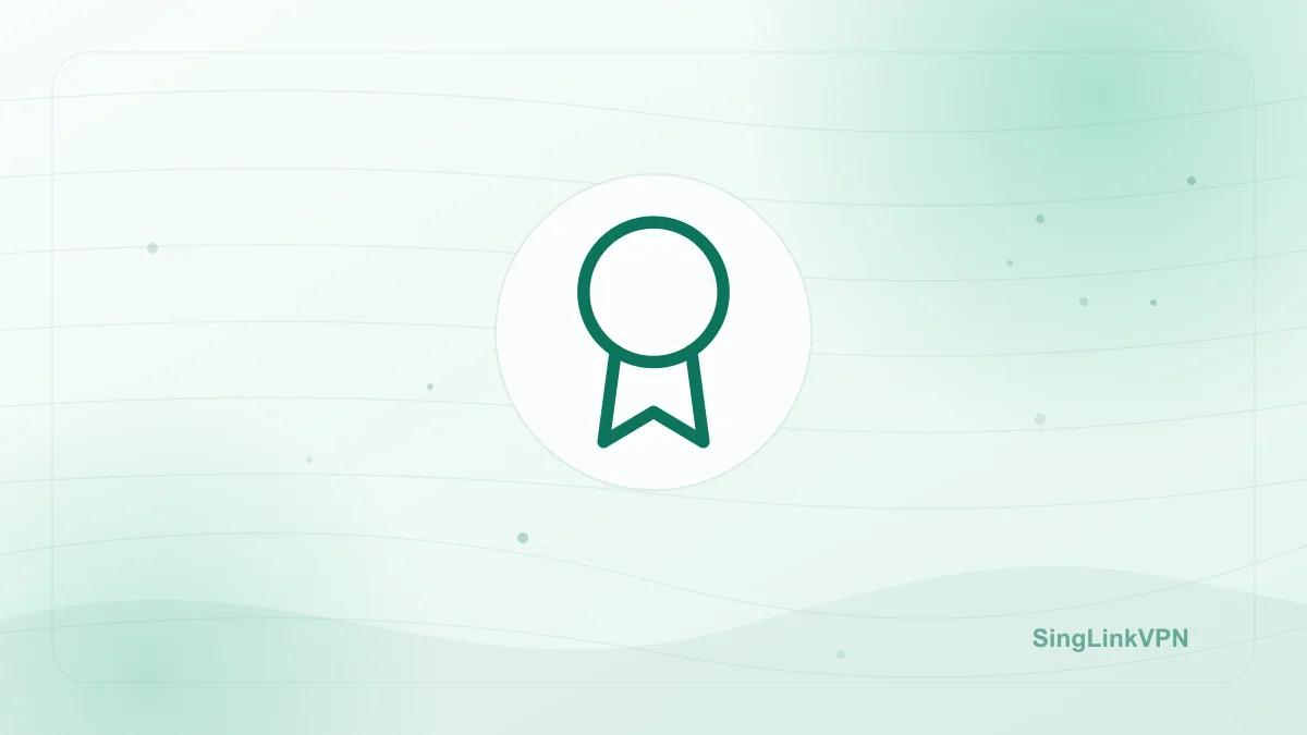 Why SingLinkVPN is Better Than 99% of VPNs?
