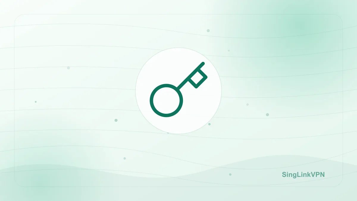 VPN Security Guide